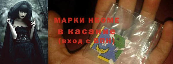 индика Володарск