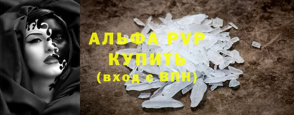 индика Володарск